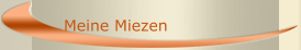 Meine Miezen