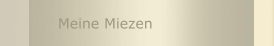 Meine Miezen